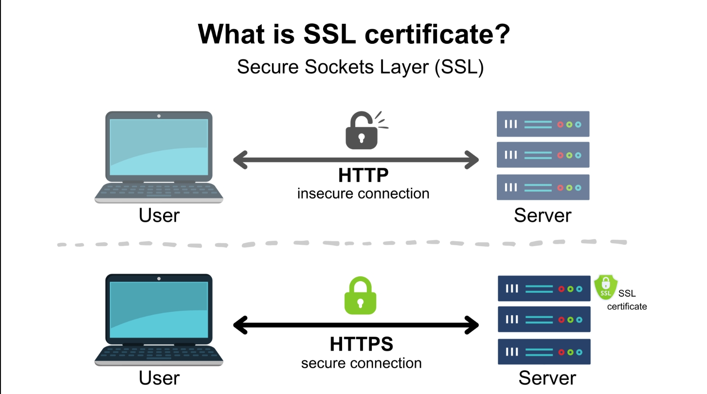screenshot 8 11 2025 223048 www.cloudns.net